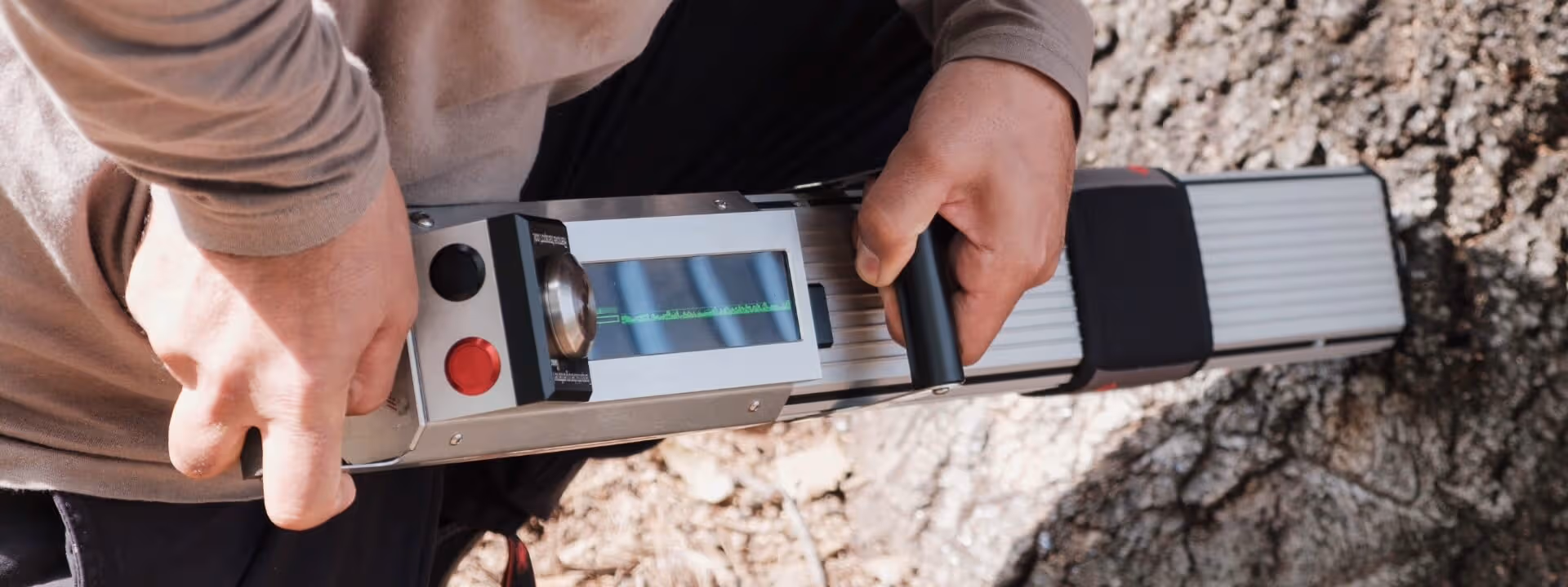 תמונת הנושא של המאמר